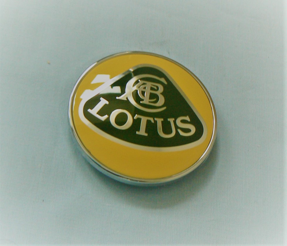 B117U0170F (117U0170) NOSE BADGE